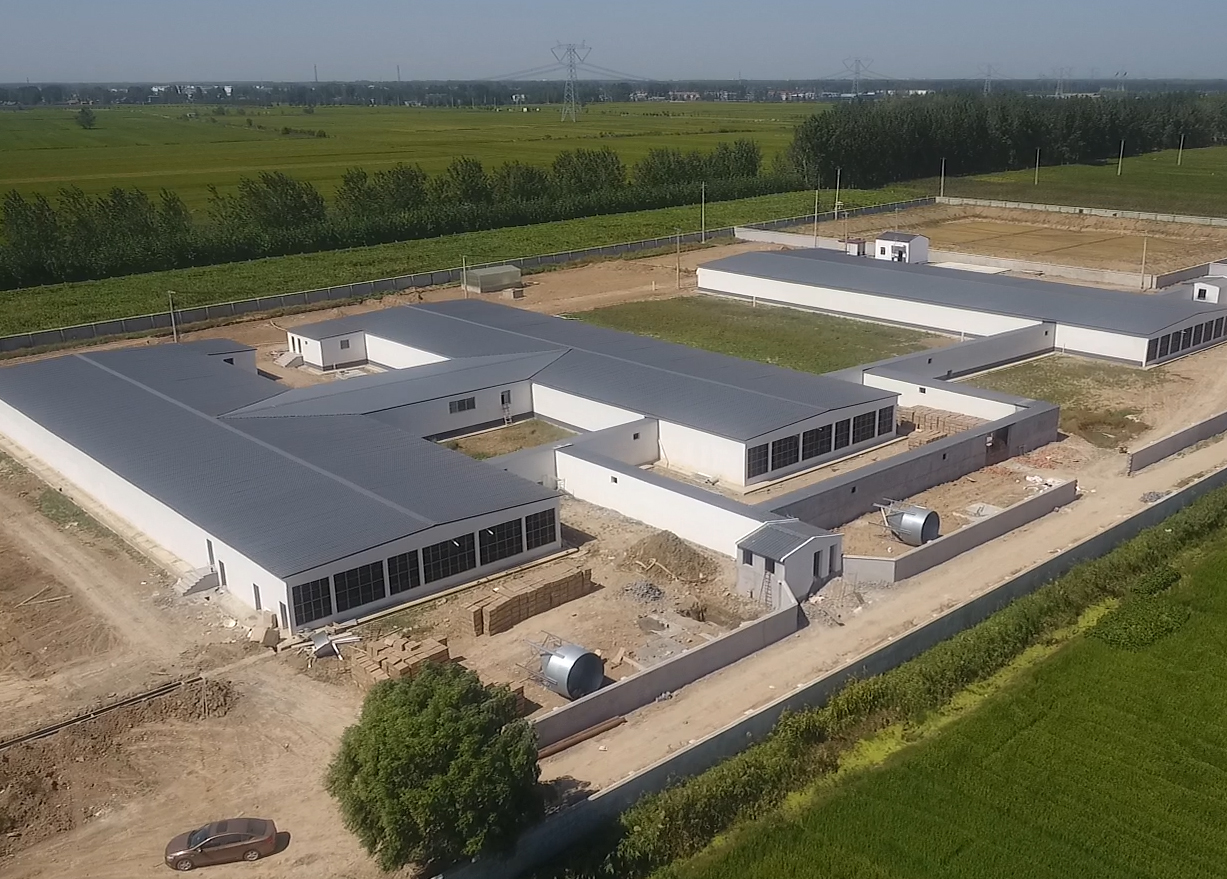 今年会Antibio系统-灌云公猪站空气过滤