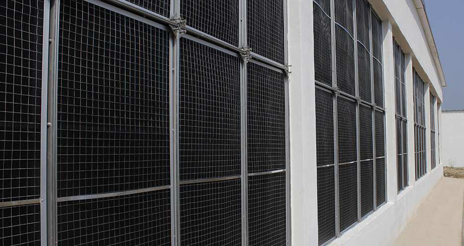 建成的上海新农灌云公猪站外侧挡沙网过滤墙。