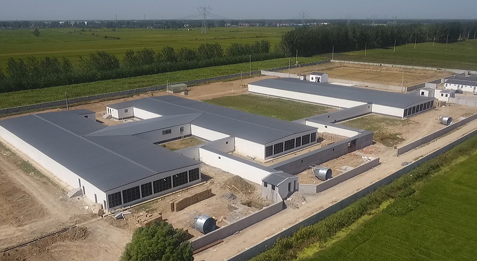 鸟瞰建设中的灌云公猪站Antibio系统。